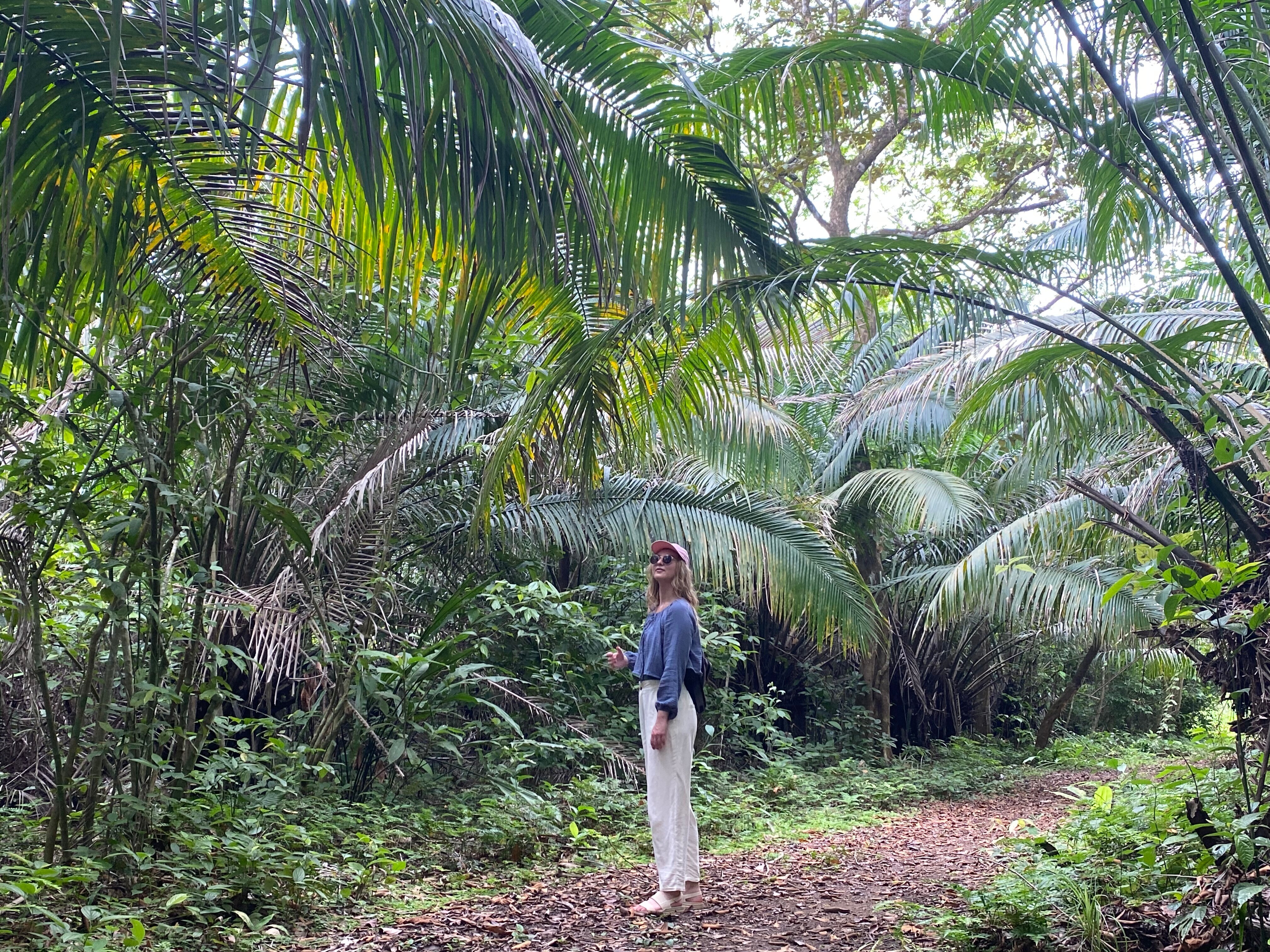Kobieta podczas trekkingu przez dżunglę Guna Yala Kobieta stoi wśród palm w dżungli Guna Yala