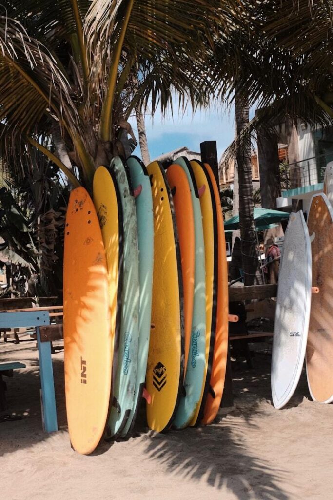 Deski surfingowe pod palmami w Playa Venao