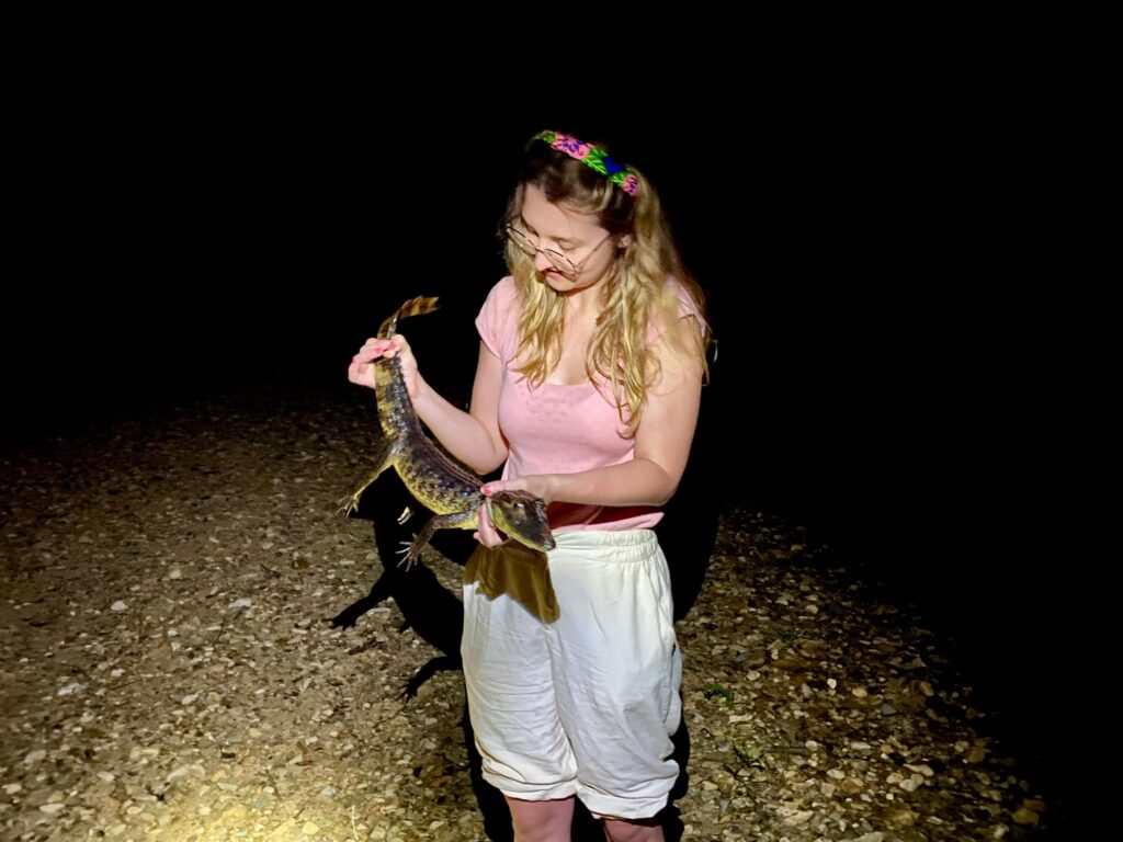 Dziewczyna trzymająca młodego krokodyla podczas nocnej wyprawy w dżungli San Blas, Panama.