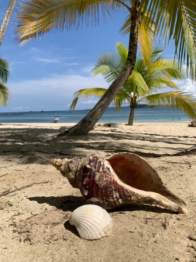Palmy i błękitne niebo nad plażą w Santa Catalina, Panamie – idealne miejsce na slow travel