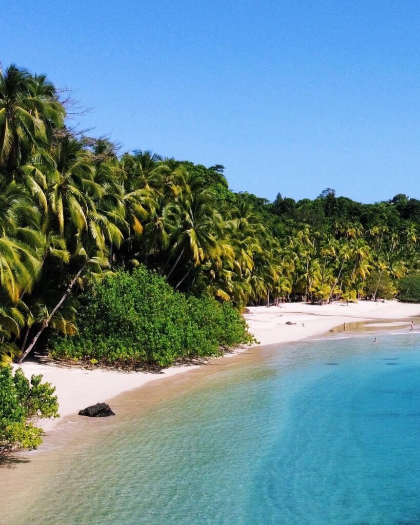 Plaża z palmami i widokiem na ocean w Parku Narodowym Coiba, Panamie – raj dla podróżników