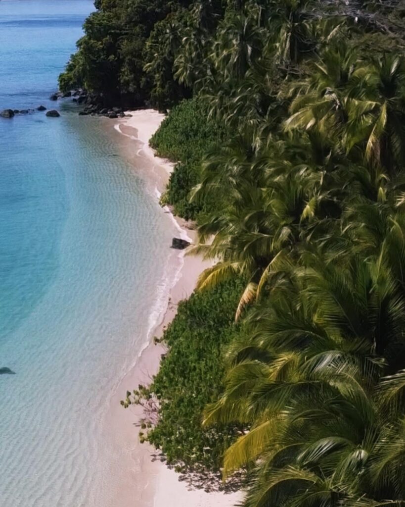 Rajska plaża z białym piaskiem i palmami na wyspie Coiba w Panamie, idealna na slow travel i odpoczynek